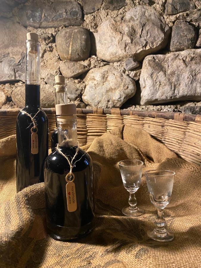 Il Mallo Verde - Lake Como B&B Mandello del Lario Εξωτερικό φωτογραφία