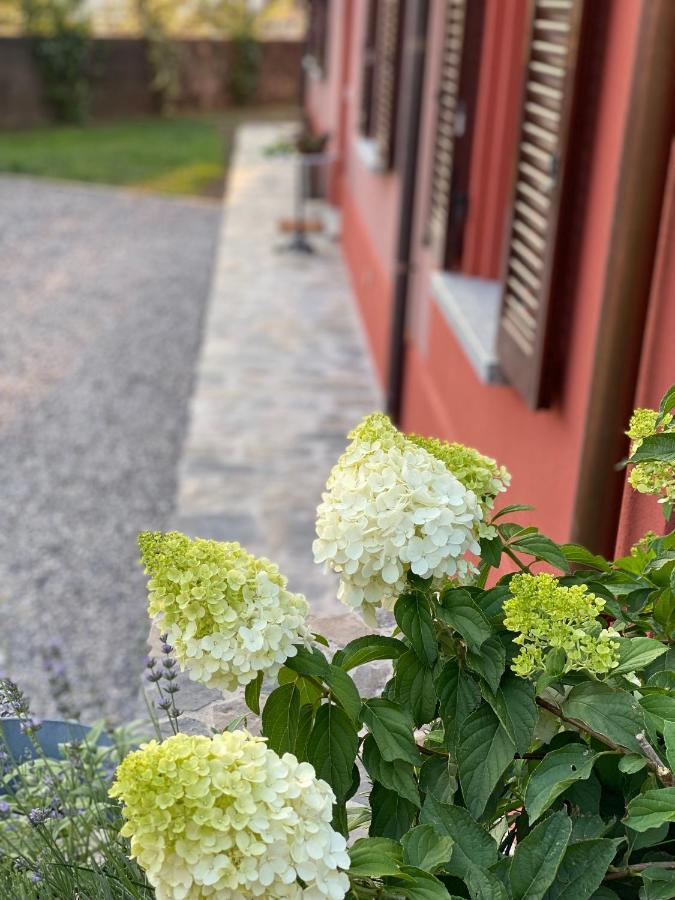 Il Mallo Verde - Lake Como B&B Mandello del Lario Εξωτερικό φωτογραφία