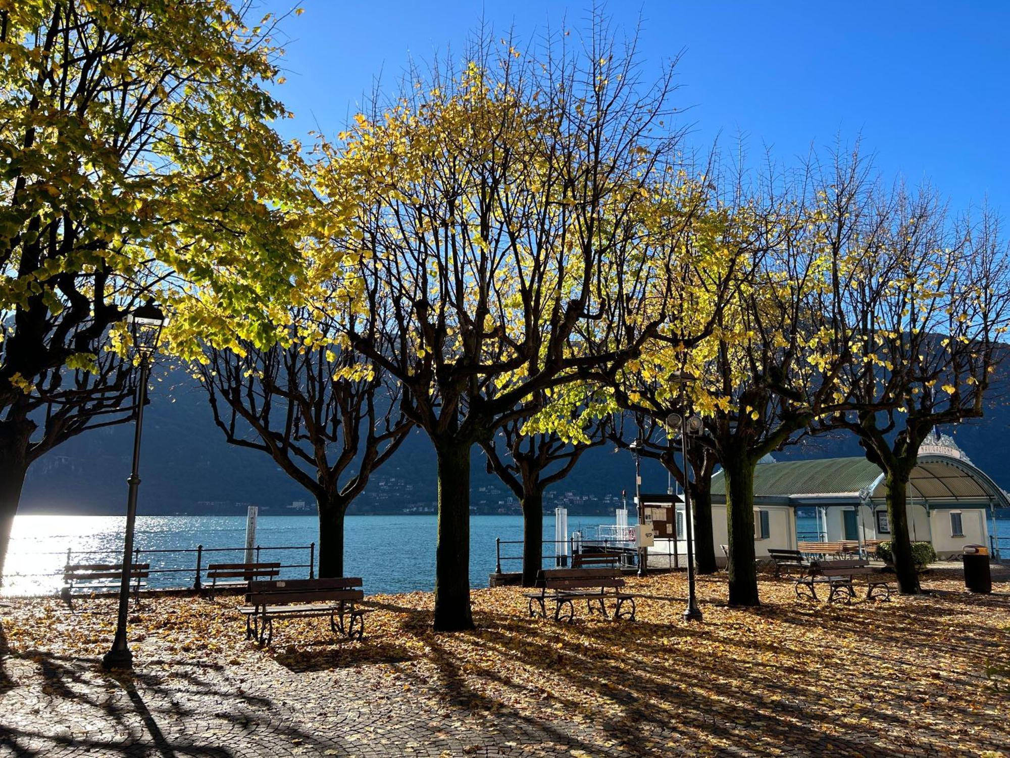 Il Mallo Verde - Lake Como B&B Mandello del Lario Εξωτερικό φωτογραφία