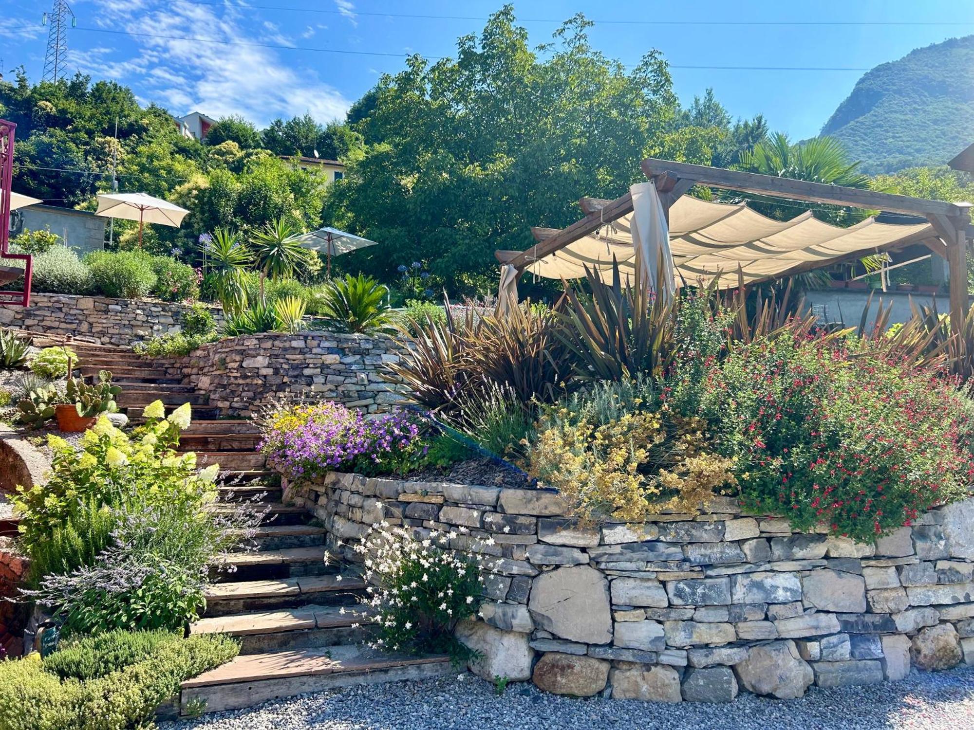 Il Mallo Verde - Lake Como B&B Mandello del Lario Εξωτερικό φωτογραφία